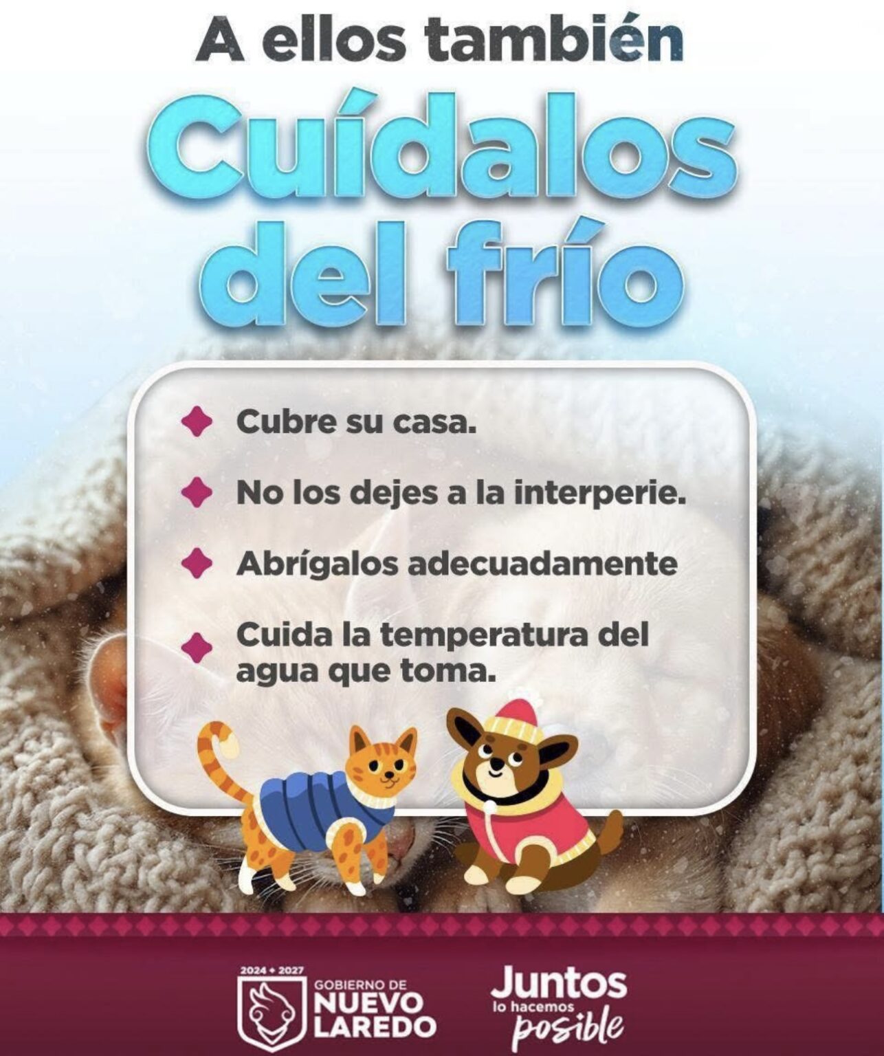 Invitan a proteger mascotas ante bajas temperaturas