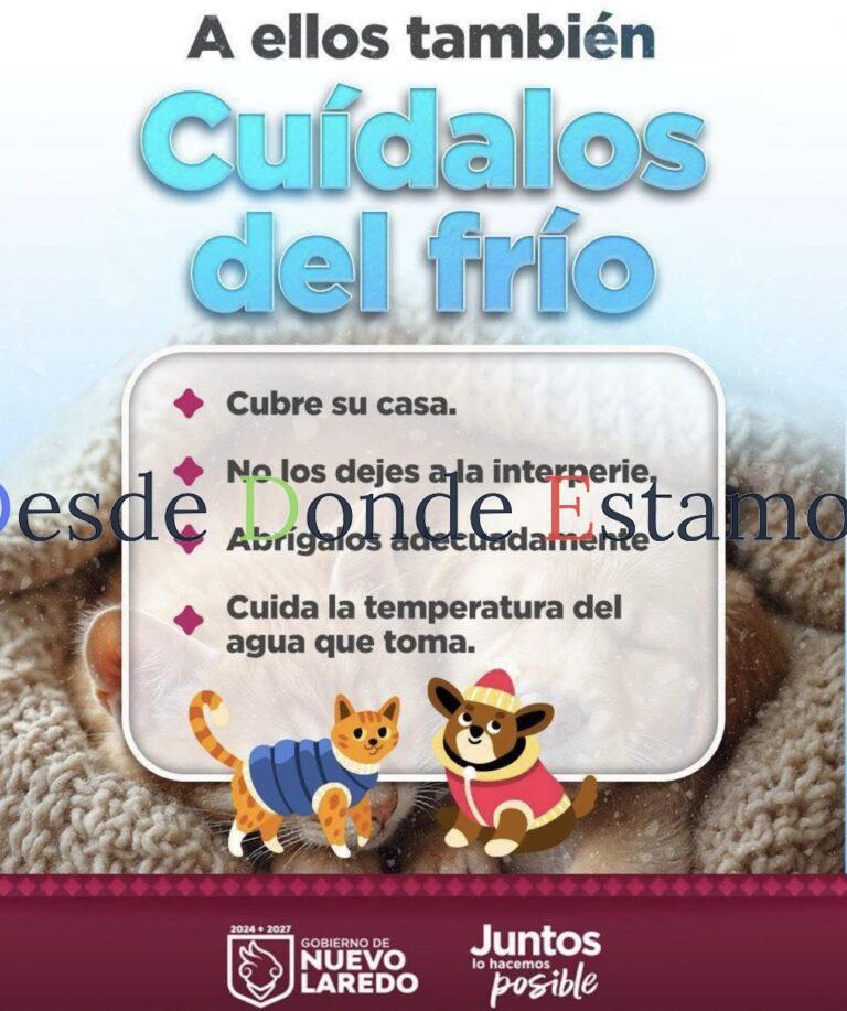 Invitan a proteger mascotas ante bajas temperaturas