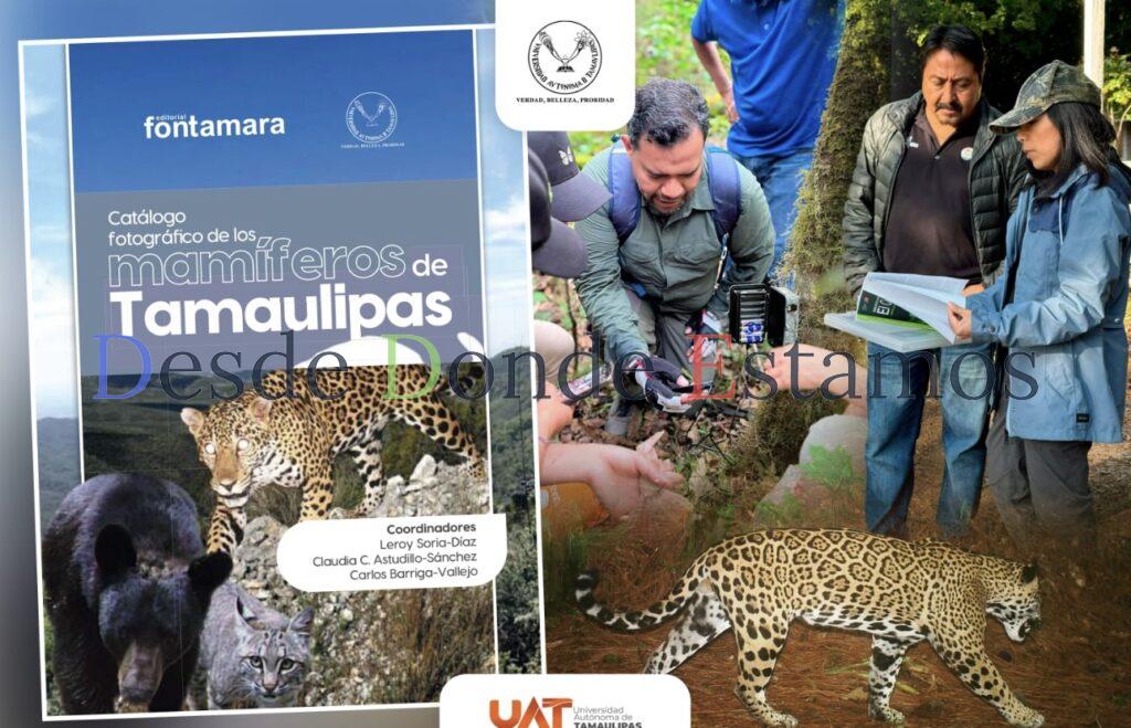 Difunde la UAT catálogo fotográfico de los mamíferos de Tamaulipas