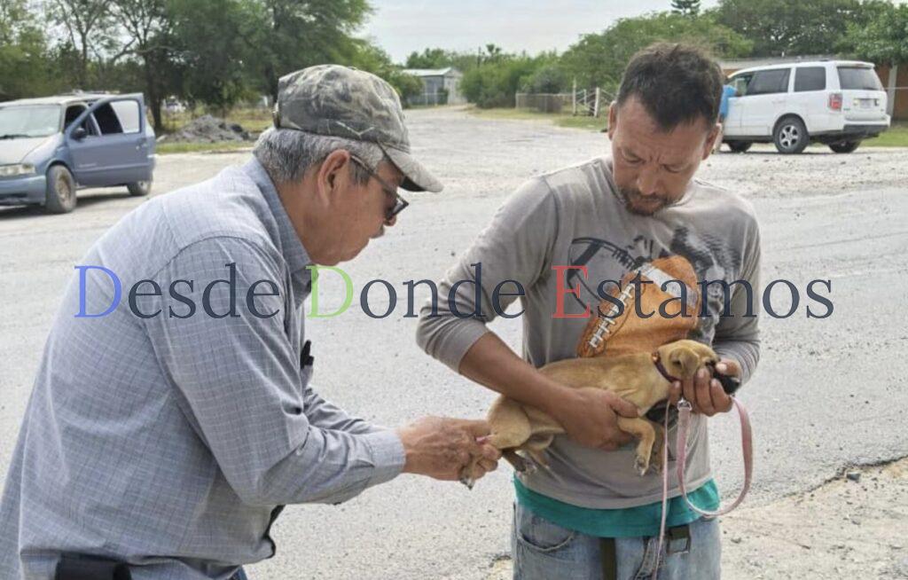 Realiza SST campaña preventiva para la detección de rickettsiosis
