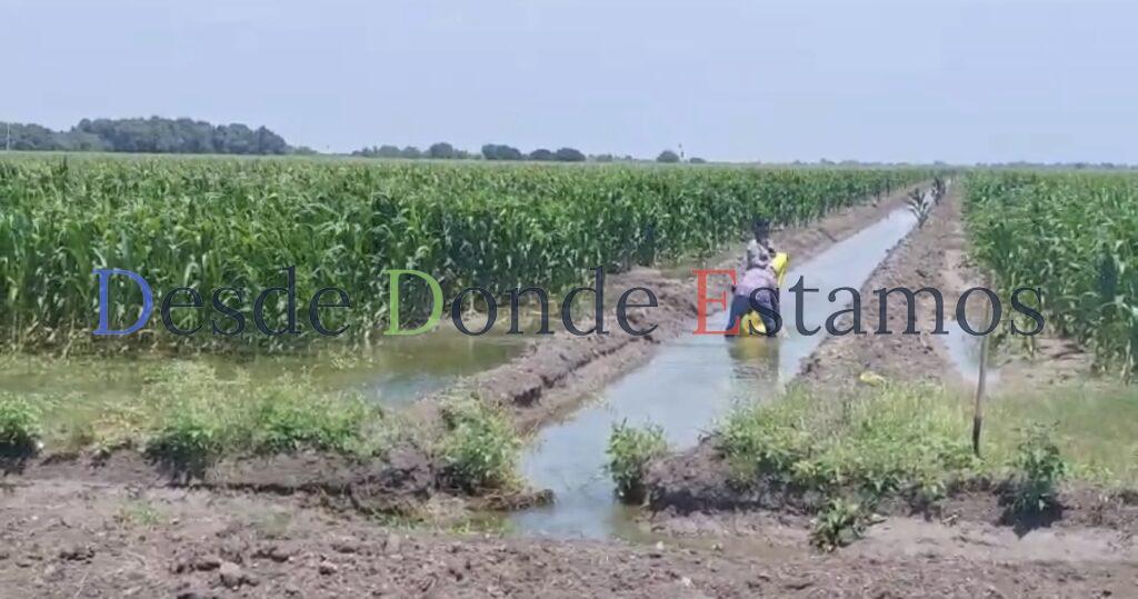 Caerá producción con ley de aguas nacionales