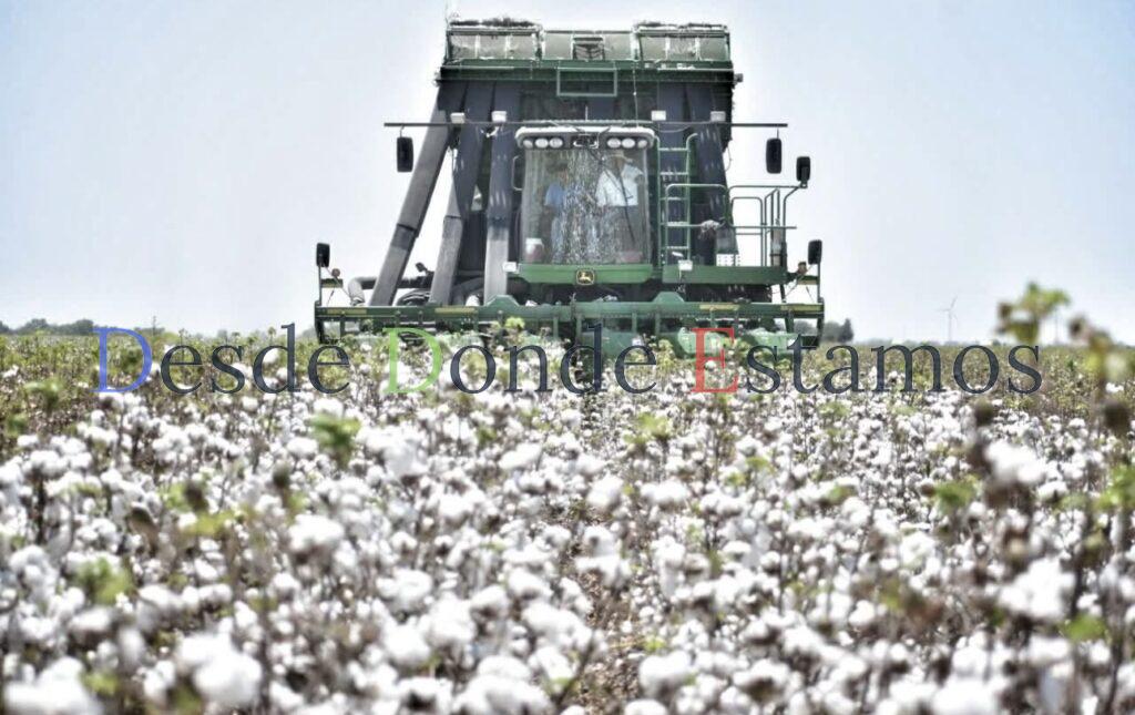 Participa Tamaulipas en reunión binacional para fortalecer la sanidad del algodón