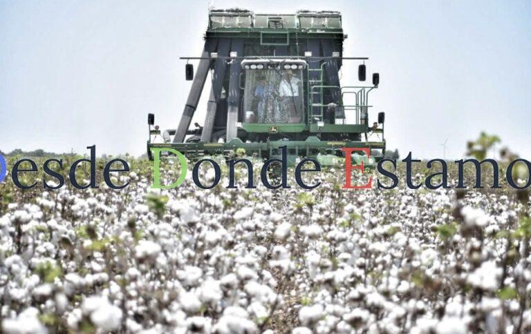 Participa Tamaulipas en reunión binacional para fortalecer la sanidad del algodón