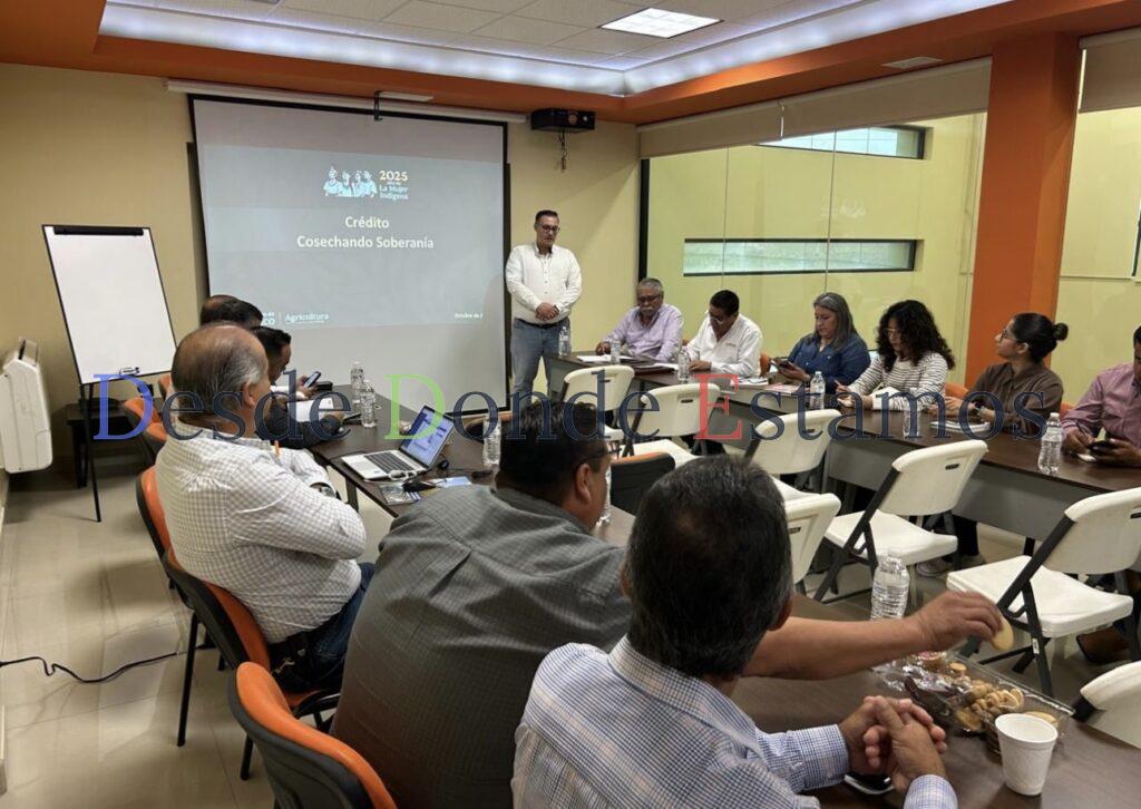 Impulsan nuevos créditos para productores de sorgo