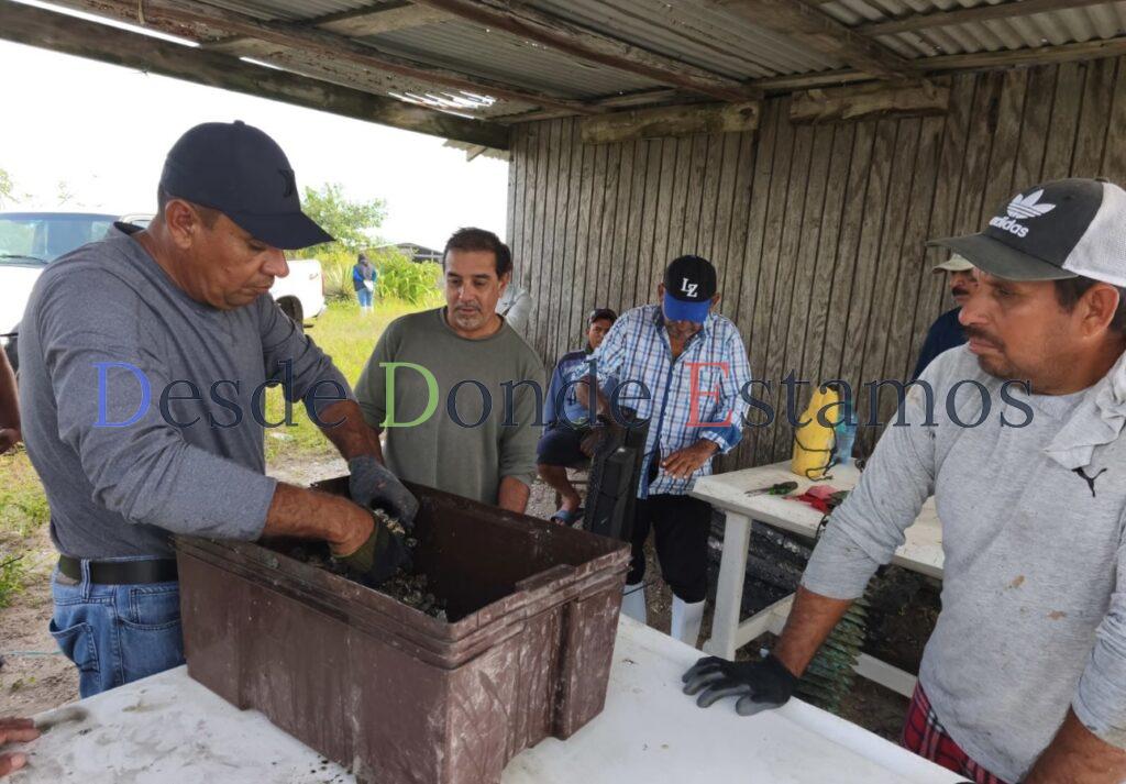Refuerzan acciones de seguimiento y sanidad en unidades de producción acuícola