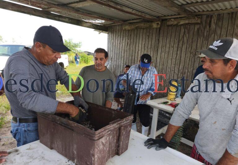 Refuerzan acciones de seguimiento y sanidad en unidades de producción acuícola