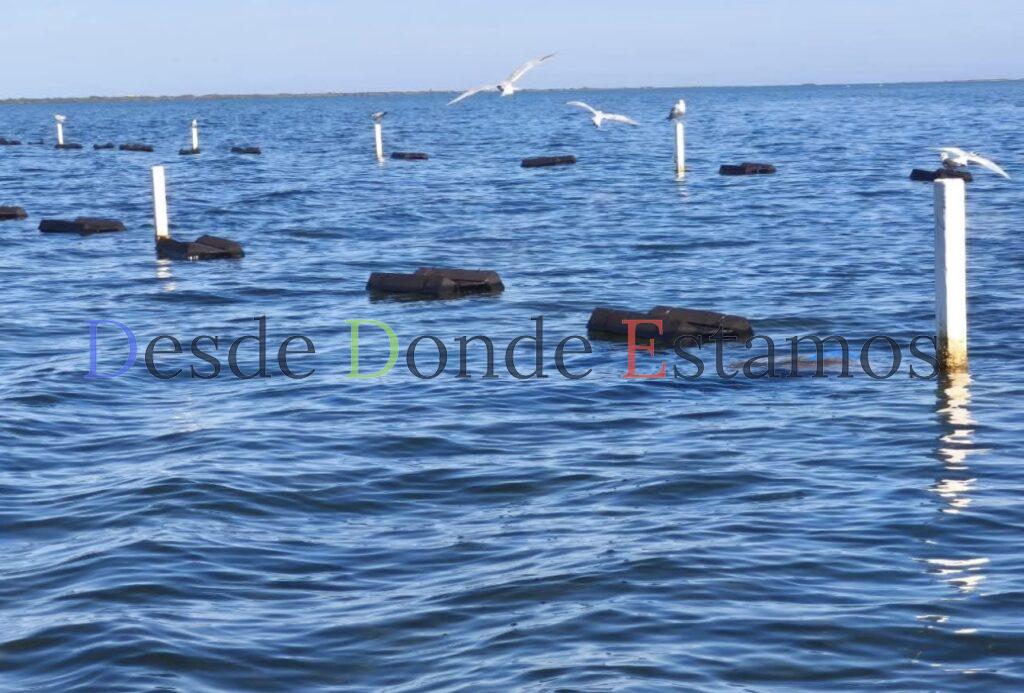 Mejoran acompañamiento técnico al sector acuícola en San Fernando