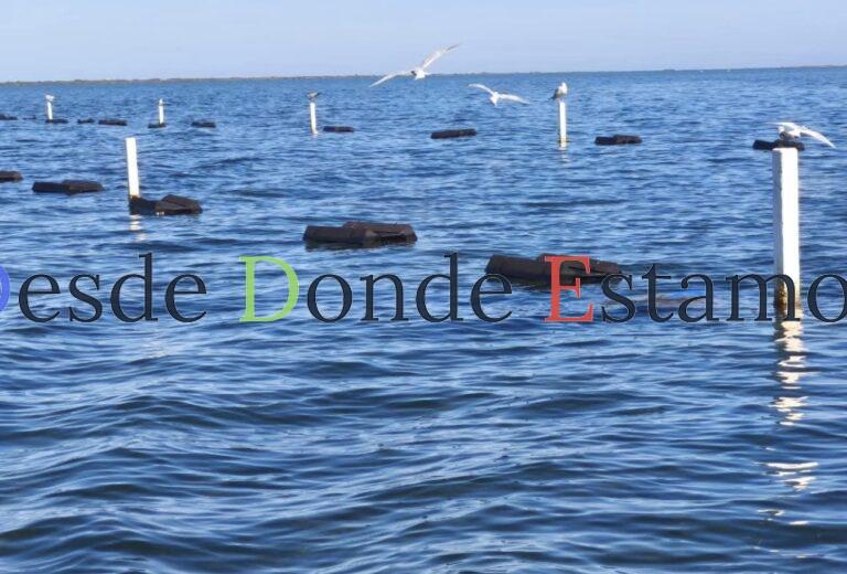 Mejoran acompañamiento técnico al sector acuícola en San Fernando