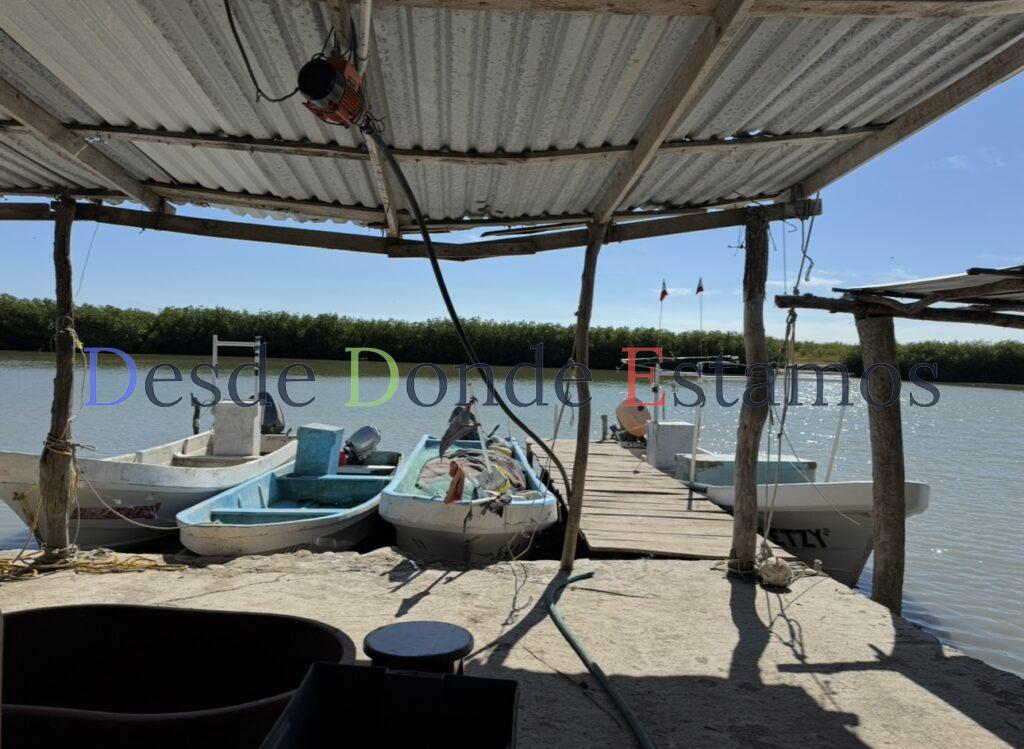 Mantendrá Desarrollo Rural programas emblemáticos en el 2026