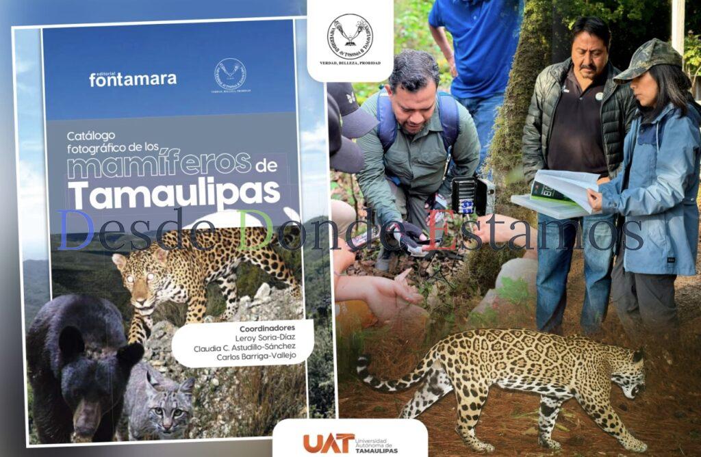 Difunde la UAT catálogo fotográfico de los mamíferos de Tamaulipas