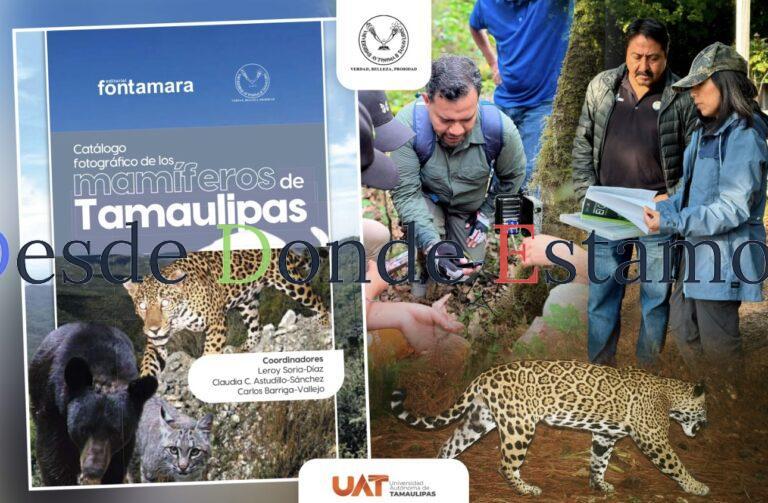 Difunde la UAT catálogo fotográfico de los mamíferos de Tamaulipas