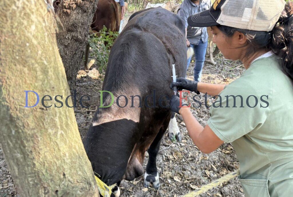 Refuerzan en Tamaulipas medidas fitosanitarias