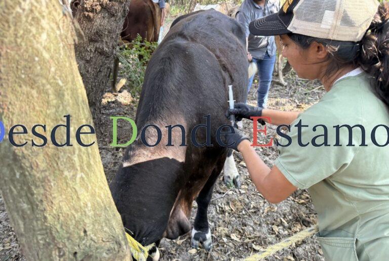 Refuerzan en Tamaulipas medidas fitosanitarias