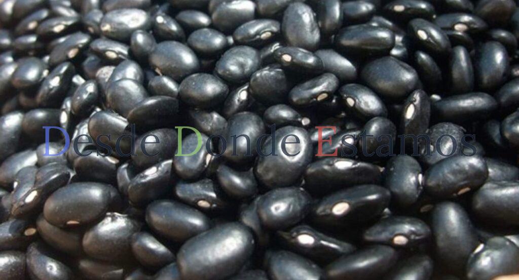 En riesgo de perderse miles de toneladas de frijol