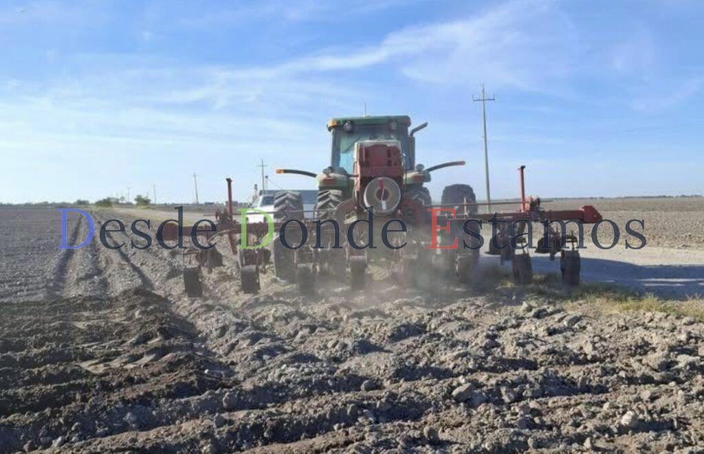 Sin sembrar más del 80% de la superficie agrícola