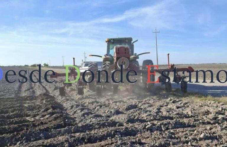 Sin sembrar más del 80% de la superficie agrícola
