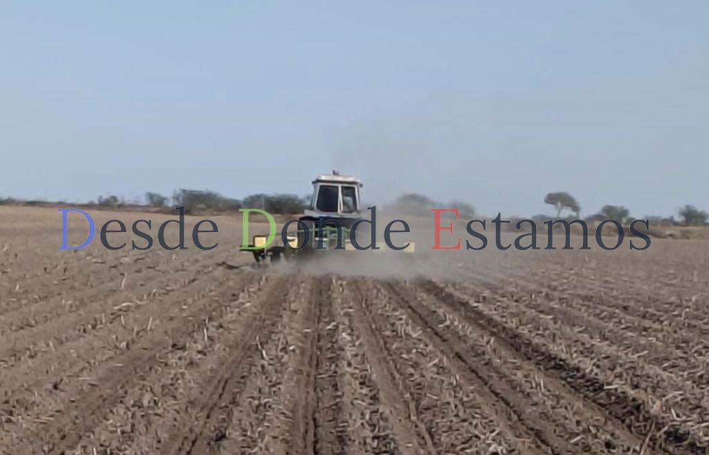 Enfrentan 12 municipios problemas de sequía en la zona norte