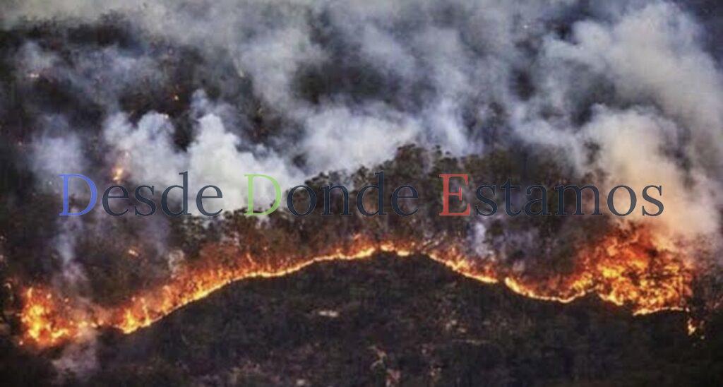 Pudieran incrementarse los incendios forestales