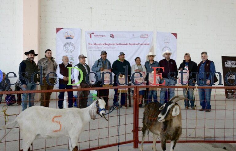 Caprinocultura y valor agregado, ejes del Festival del Cabrito 2026
