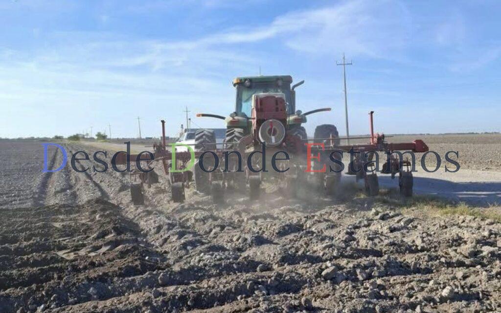 Escaso avance de siembras por falta de humedad y financiamiento