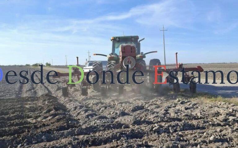 Escaso avance de siembras por falta de humedad y financiamiento