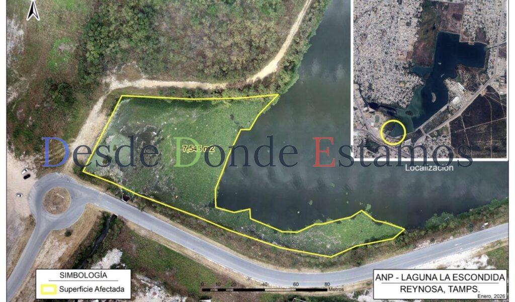 Efectuarán trabajos de saneamiento de la laguna La Escondida