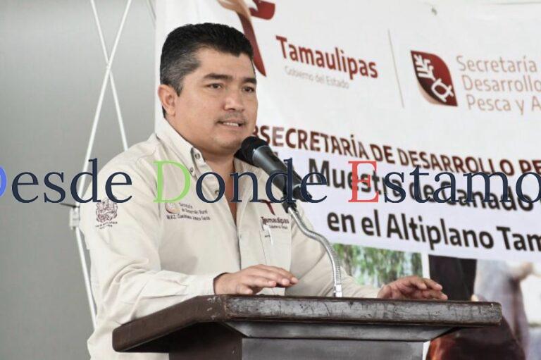 Altamira y Llera, declarados libres de gusano barrenador del ganado