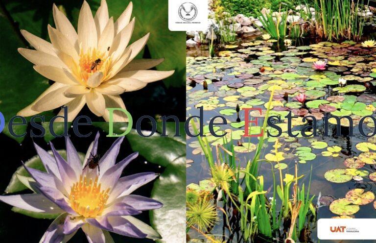 Colabora UAT en conservación de humedales y ecosistemas acuáticos