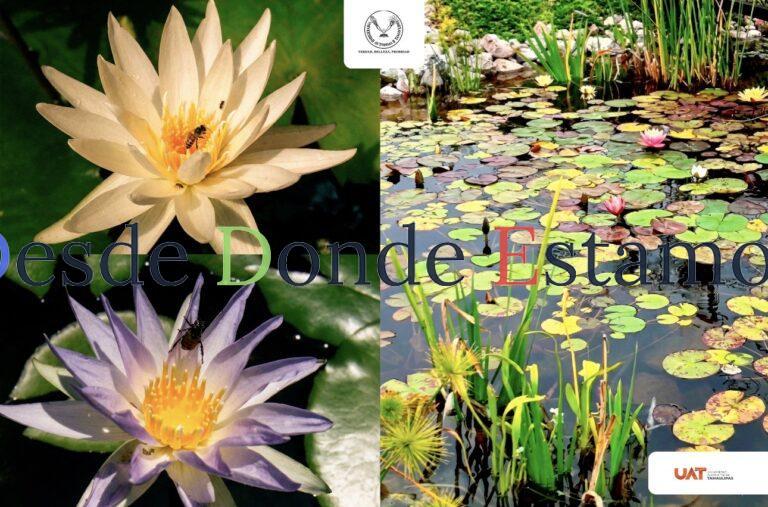 Colabora UAT en conservación de humedales y ecosistemas acuáticos