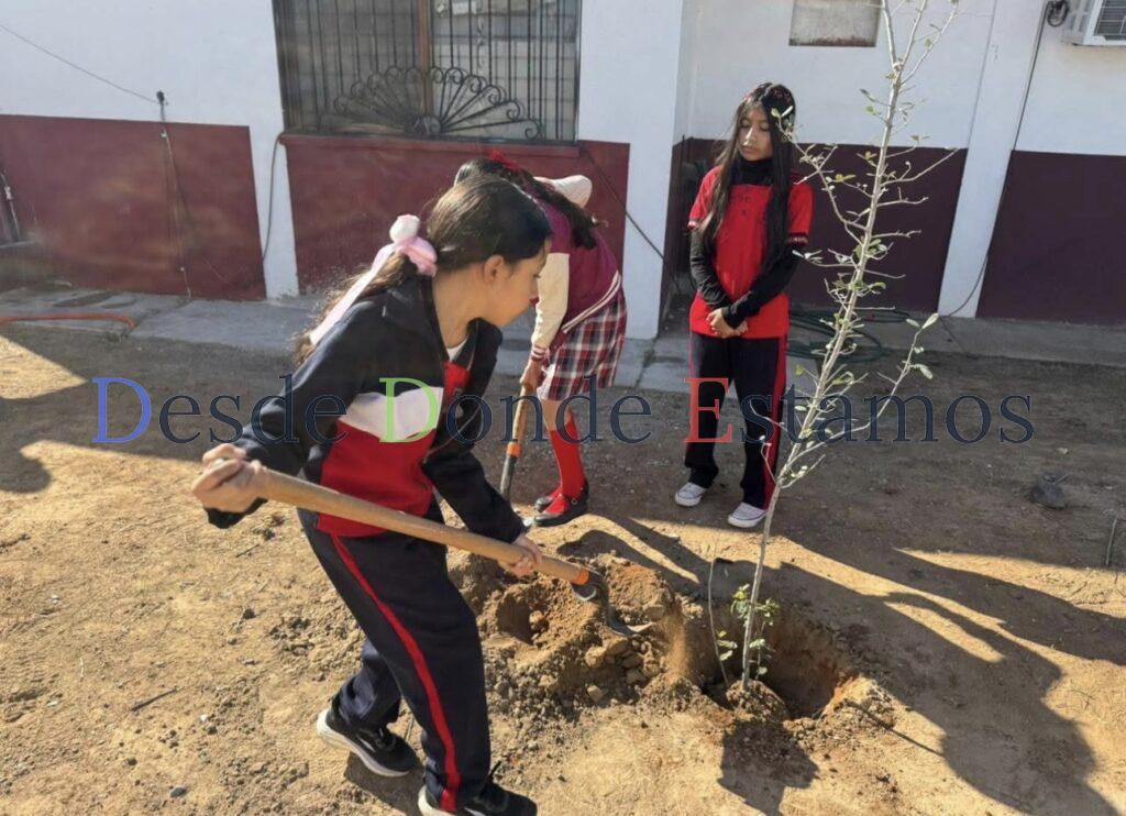 Jornada de reforestación en primaria Felipe Robles
