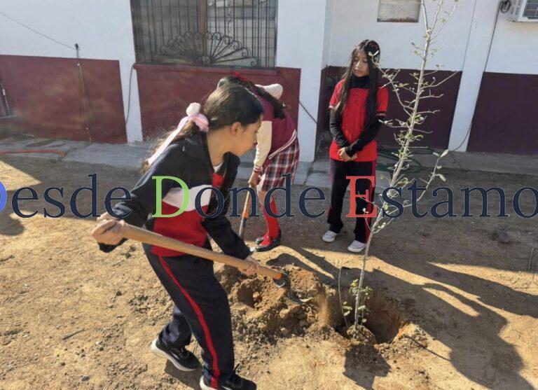 Jornada de reforestación en primaria Felipe Robles