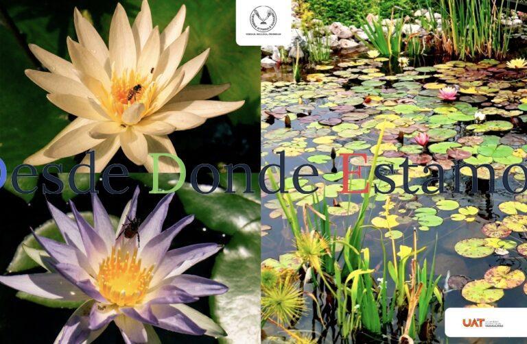 Colabora UAT en conservación de humedales y ecosistemas acuáticos