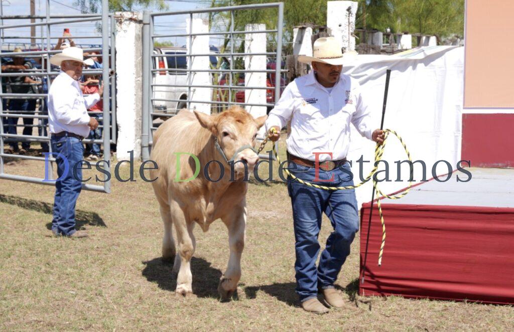 Abren convocatoria para programa Mejoramiento Genético