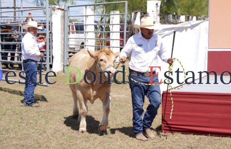 Abren convocatoria para programa Mejoramiento Genético