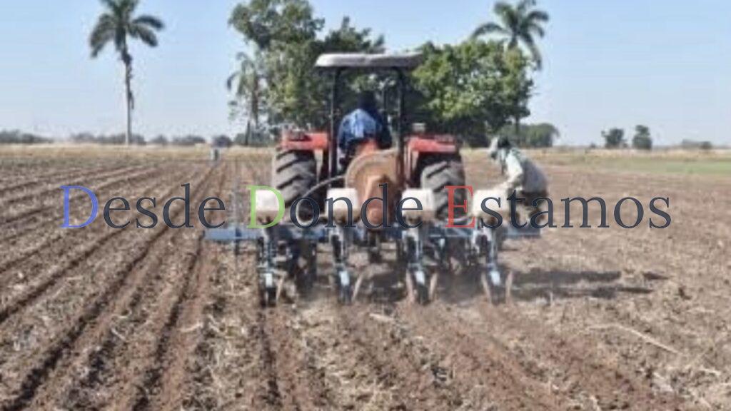 No hay humedad para la siembra de cultivos en tierras de temporal