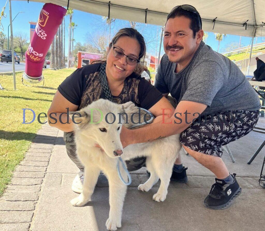 Gobierno municipal invita a Feria de Adopción canina y felina en la Plaza Zaragoza