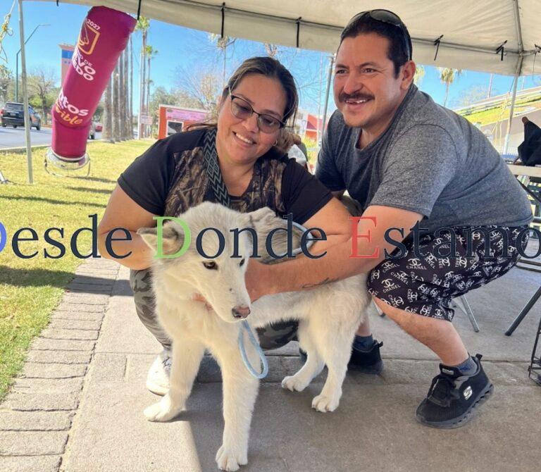 Gobierno municipal invita a Feria de Adopción canina y felina en la Plaza Zaragoza