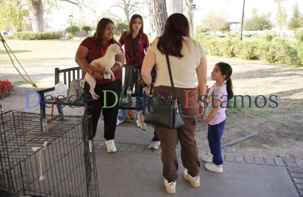 Impulsa Bienestar Animal la adopción responsable con jornada exitosa