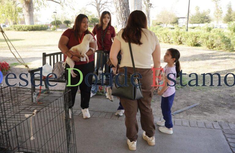 Impulsa Bienestar Animal la adopción responsable con jornada exitosa