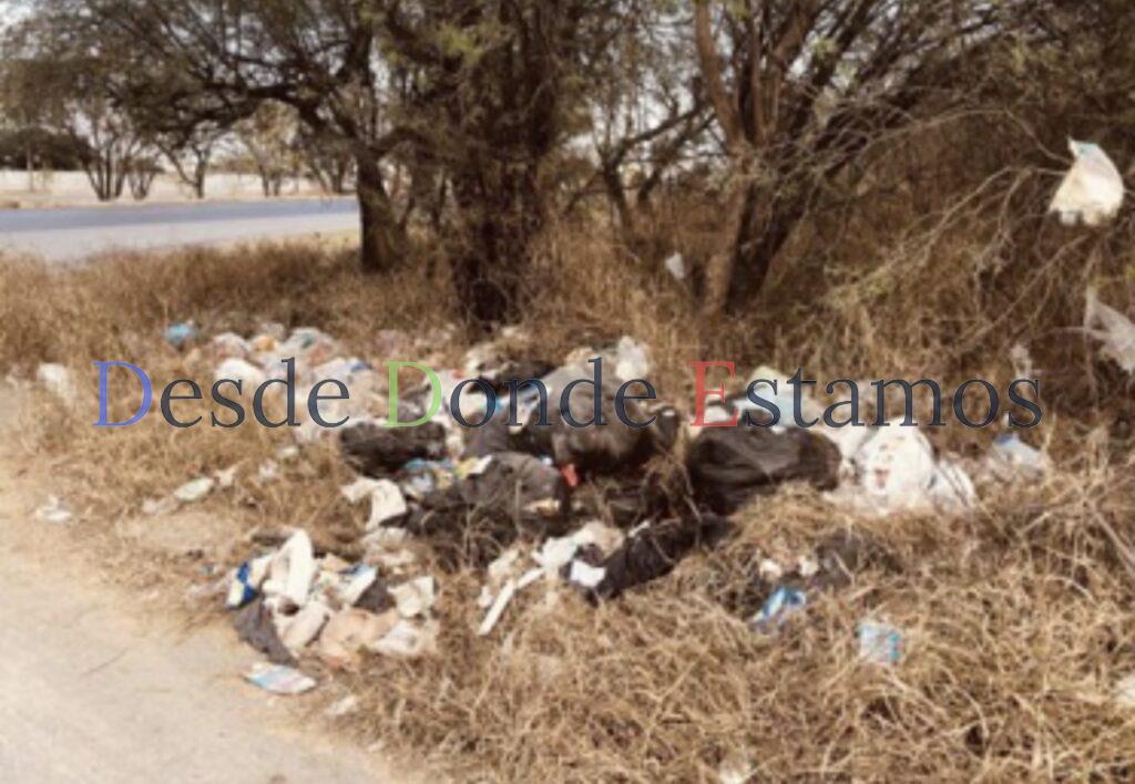 Culpa de Ayuntamientos creación de dos mil tiraderos de basura