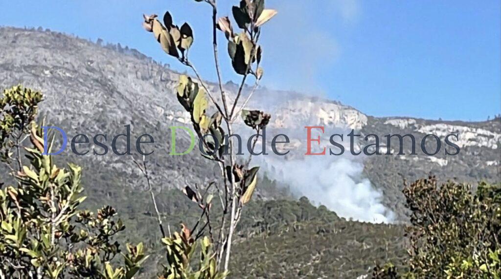 Suman tres los incendios forestales