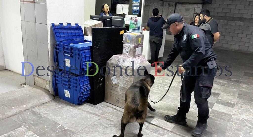 Realizan operativo para detectar narcóticos en Central de Autobuses