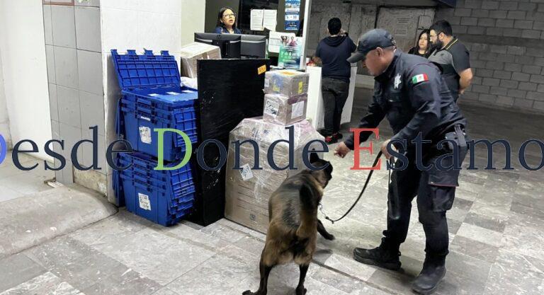 Realizan operativo para detectar narcóticos en Central de Autobuses