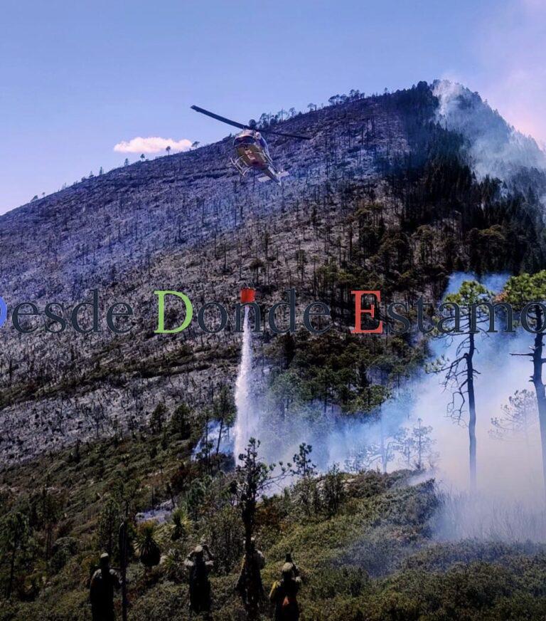 Avanza al 70 % el control del incendio forestal en Miquihuana