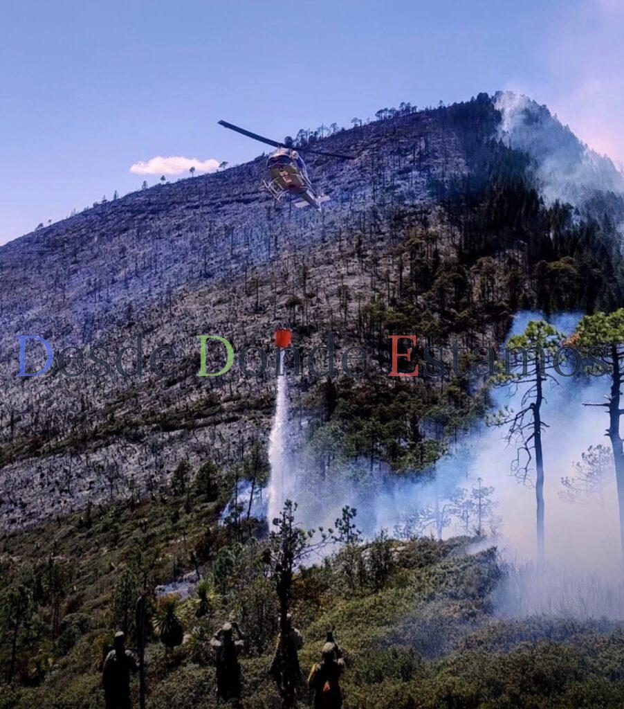 Avanza al 70 % el control del incendio forestal en Miquihuana