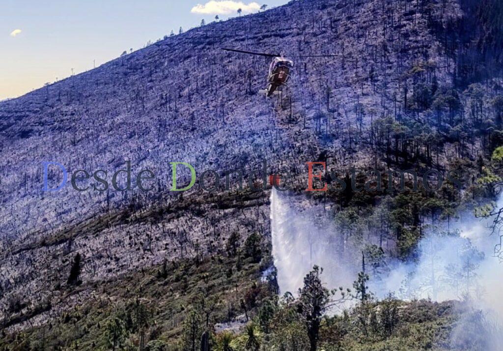 Abren nuevas rutas para sofocar incendio en Miquihuana