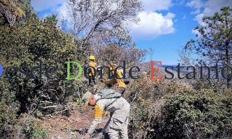 Controlado incendio forestal “Puerto del Volcán” en Miquihuana