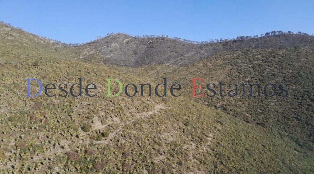 Incendio forestal en Miquihuana es liquidado al 100 %