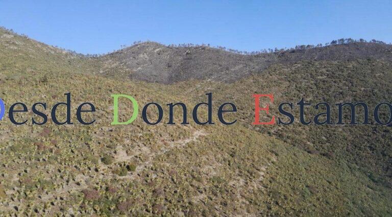 Incendio forestal en Miquihuana es liquidado al 100 %