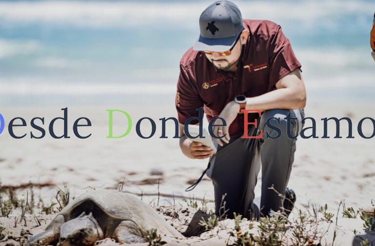 Preparan operativos en playas por arribo de tortugas durante Semana Santa